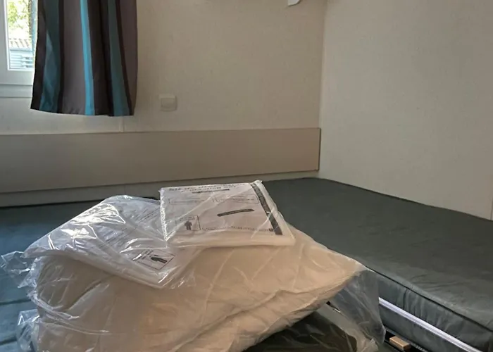 Coeur De Vendee, De Montaigu Kemp La Boissiere-de-Montaigu