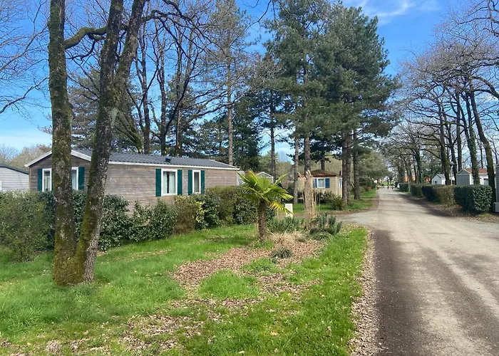 Coeur De Vendee, De Montaigu Kemp La Boissiere-de-Montaigu